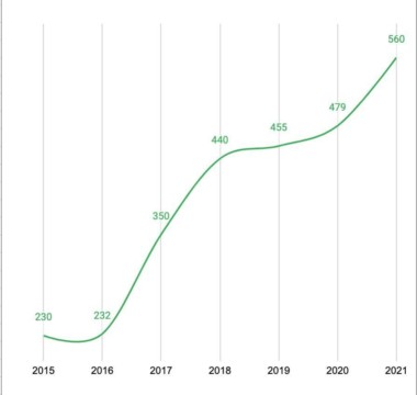 lukiotilasto2021 Naisten Linja verkkohäirintä-hanke